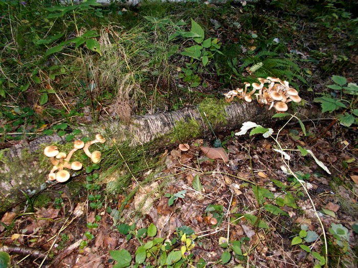DSCN0195.JPG